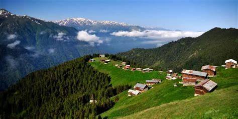 Trabzon Of En Yakin terapi halı yıkama