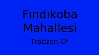 Trabzon Of Findikoba Mahallesi terapi halı yıkama