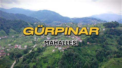 Trabzon Of Gurpinar Mahallesi terapi halı yıkama