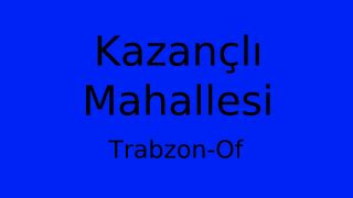 Trabzon Of Kazancli Mahallesi terapi halı yıkama
