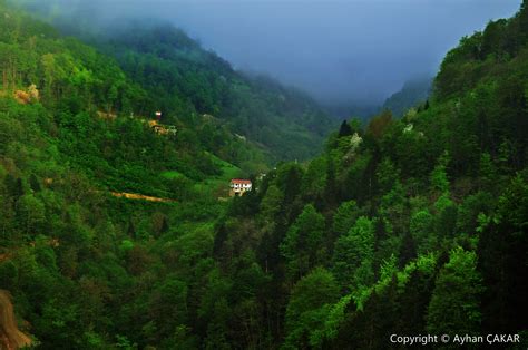 Trabzon Surmene terapi halı yıkama