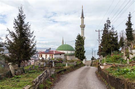 Trabzon Surmene Orta Mahallesi terapi halı yıkama