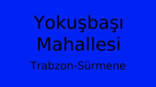 Trabzon Surmene Yokusbasi Mahallesi terapi halı yıkama