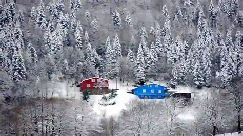 Trabzon Tonya En Yakin terapi halı yıkama