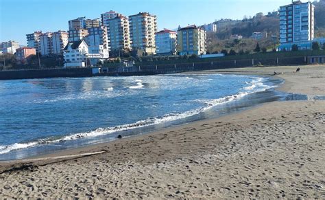 Trabzon Vakfikebir Deregozu Mahallesi terapi halı yıkama