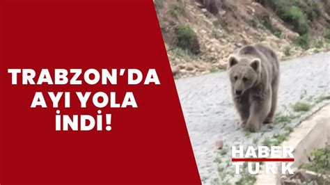 Trabzon ayı saldırısı