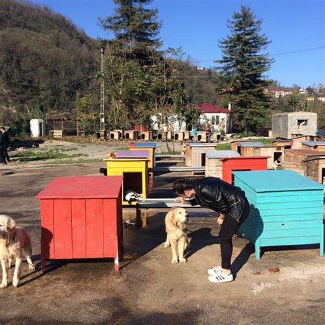 Trabzon belediyesi hayvan barınağı