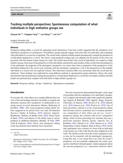 Tracking multiple perspectives: Spontaneous computation of what ...