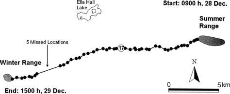 Tracking of white-tailed deer migration by Global Positioning …