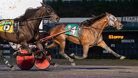 Trackit standardbred canada. Things To Know About Trackit standardbred canada. 