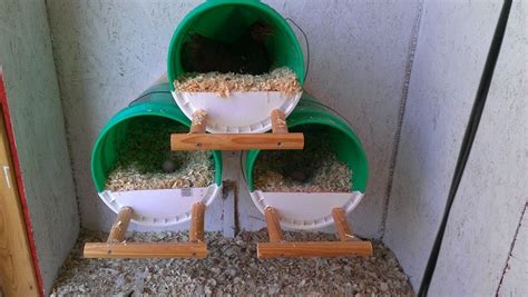Shop for ecoFLEX chicken coops, pens & nesting boxes at Tra