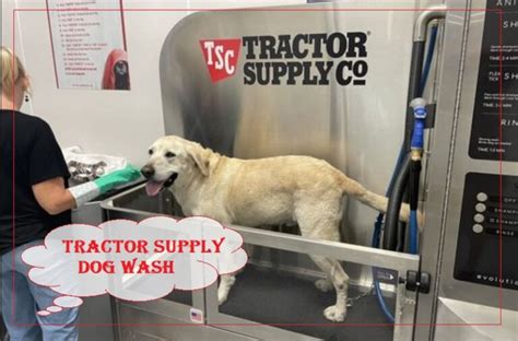 Tractor supply grooming station. Things To Know About Tractor supply grooming station. 