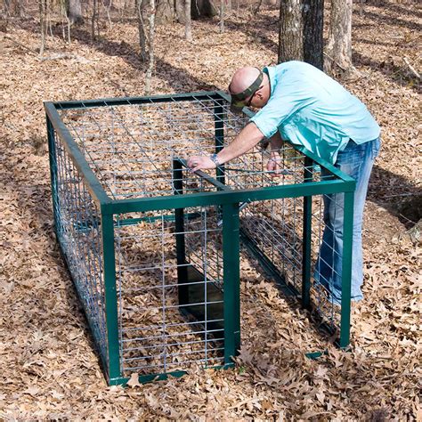 Buy JT Eaton 1-Door Answer Live Animal Trap for Squirrels, R