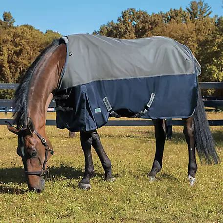 Tractor supply horse blankets. Product Details. The DuMOR 2-Tone Horse Blanket is designed to keep your horse warm and comfortable in cooler weather. Featuring multiple straps for security, this horse blanket is made of polyester and nylon materials with Sherpa and fleece to deliver durability and warmth. The 2-tone horse blanket also comes with a reflective trim, delivering ... 