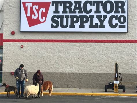 Tractor supply kewaunee. Mayor Jason Jelinek says Tractor Supply will be coming to the old Shopko building on Highway 42 with hopes to open in June. The building is about 30 percent larger than the retailer's typical... 