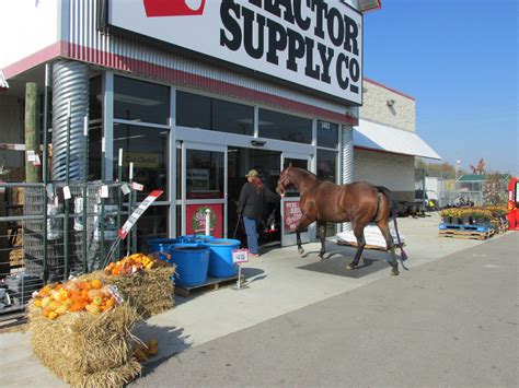 Tractor supply madison ga. Tractor Supply Co., Madison. 212 likes · 340 were here. 
