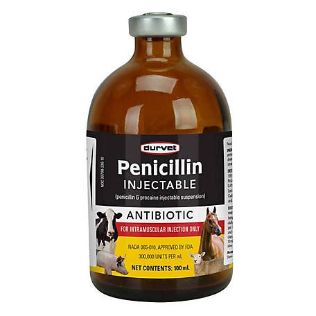 Tractor supply penicillin. Buy Durvet Duramycin 72-200 Injection Livestock Antibiotic, 250 mL at Tractor Supply Co. Great Customer Service. 