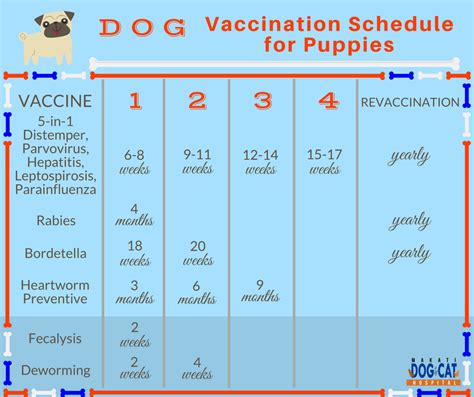 5. Give the first combination vaccine between 6 to 12 weeks of age. To reduce the total number of shots for puppies, between 3 to 5 viruses are usually combined into a single dosage. Your puppy should receive this first major shot fairly early on, so that there is enough time for boosters before they mature. [6]. 