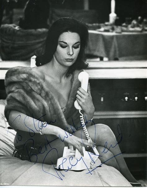 Tracy Reed Photo Chattogram