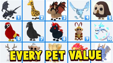 The trade value of a rare pet is between 1.000 and 1,300 coins. The trading value of a common pet is between 100 and 200 coins. There are also Ultra Rare and Legendary pets. These creatures are the most valuable of all. The trading value of an Ultra Rare and Legendary pet is between 600 and 1,500 coins.. 