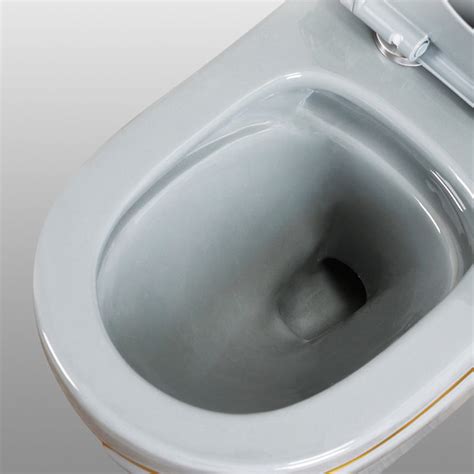 Traditional Floor Mount Toilet Bowl Skirted Toilet with Seat for ...