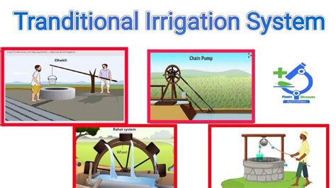 Traditional Methods of Irrigation - An Overview - BYJU