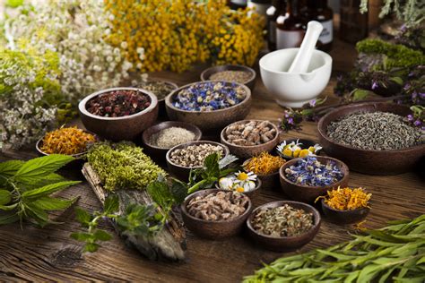 Traditional herbal medicines to overcome stress, anxiety …