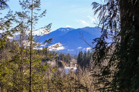 Trail Spotlight: Preston-Snoqualmie