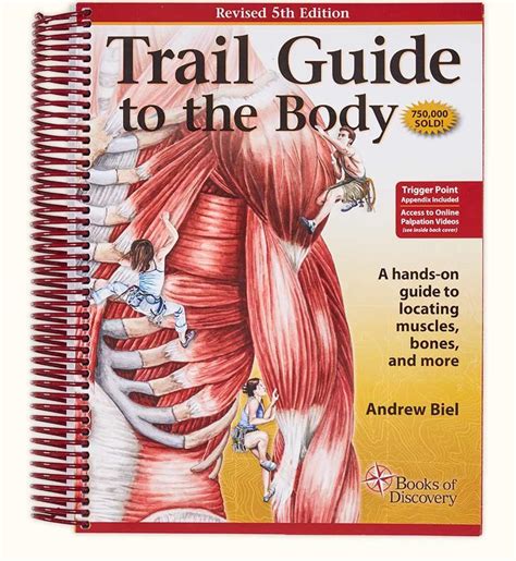 Trail guide to the body workbook. - Anais do seminário educação: o desafio do ano 2000.