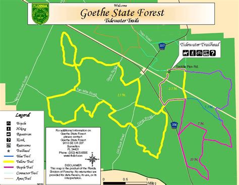 Trail riding at Goethe State Forest - Northstar Acres Camp - Mobile