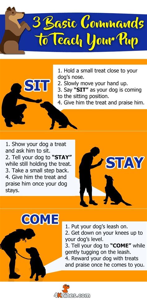Train your dog keep your dog trained guideline. - Hot springs jetsetter service manual model.