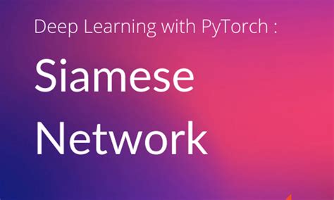 Training / Testing - Siamese Networks Coursera