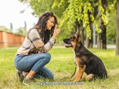 Training German Shepherd Puppy To Stop Biting