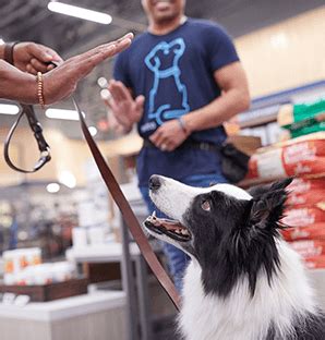 Training at petco. Schedule a dog training class at Petco Meridian, ID! Services include group classes from $149 - $379, private lessons, & certification programs. 