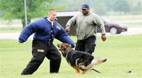 Training dogs near me. Search and rescue teams are a proven lifesaving resource. These heroic canines and their equally heroic handlers can spring into action because of organizations such as Search and Rescue Dogs of the United States (SARDUS). We provide certification, training, and education for search and rescue dog teams. In a great many crisis situations, one ... 
