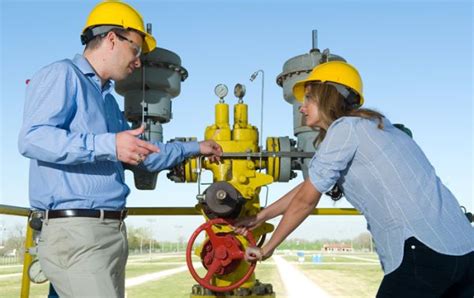 Academics Find a Program of Study Petroleum and Natural Gas Engineering - B.S. Petroleum and Natural Gas Engineering - B.S. Develop a broad understanding of oil and gas engineering design as they relate to energy demands, economic stability, national security, and further exploration in the Petroleum and Natural Gas Engineering (PNGE) program.. 