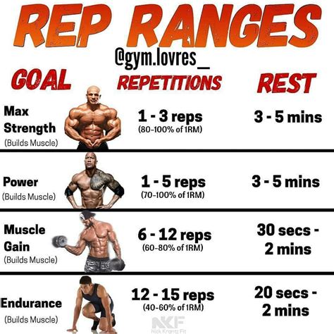 Training the core 1-2 times a week vs 4-5 times a week ... - Reddit