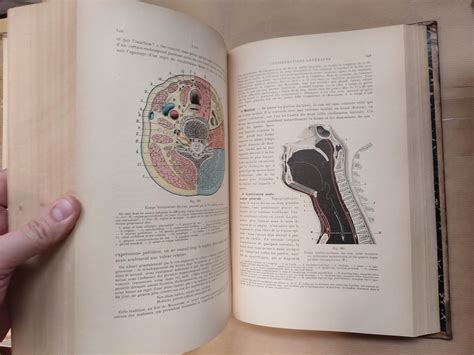 Traité d'anatomie topographique avec applications médico chirurgicales. - Principles of biology laboratory manual umes.
