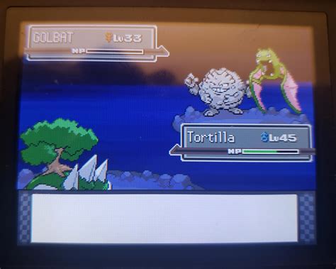 Trampolinesex Onlyfans Leaked 💦 [HD]