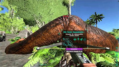 Tranq dart id ark. GFI is the most commonly used command for spawning, but some items may not have a GFI code. If that is the case, try spawning using the blueprint path or the item ID. Here … 