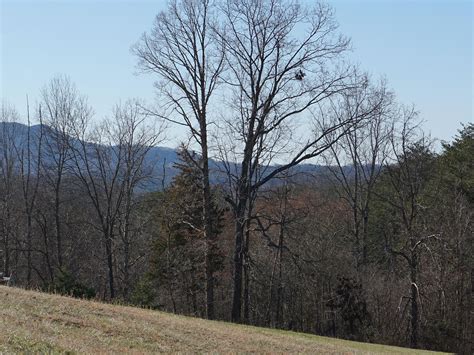 Tranquility Ridge Dr Lot 10, Newport, TN 37821 realtor.com®