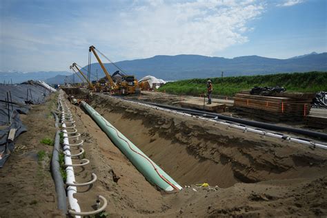 Trans Mountain Corp. issued stop-work order for environmental non-compliance