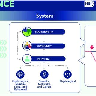 Trans-NIH Resilience Working Group - National Institutes of Health