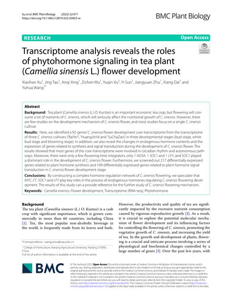 Transcriptome analysis reveals the roles of phytohormone …