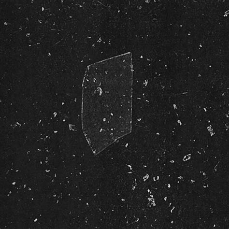 Transient Form Sequences Total Black