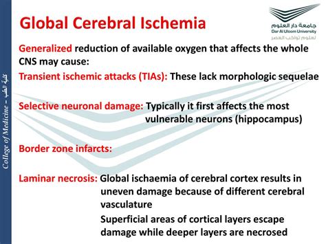 Transient global cerebral ischemia differentially affects cortex ...