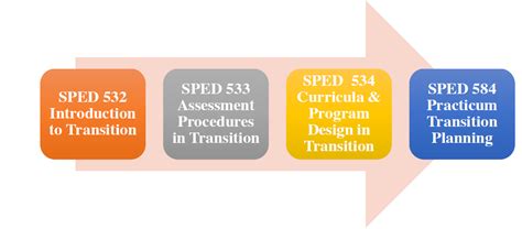 (e) The requirements for the Transition Specialist Endorsement ma