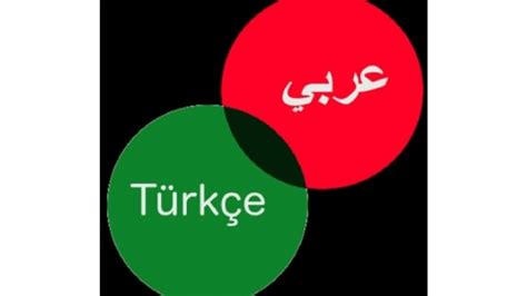 Translate turkce