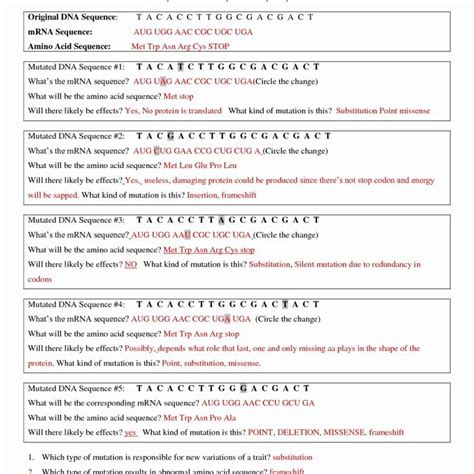 Translation Transcription Synthesis Protein Lab Answers