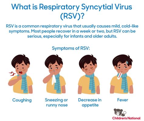 Transmission and Timeline of RSV (Respiratory Syncytial …